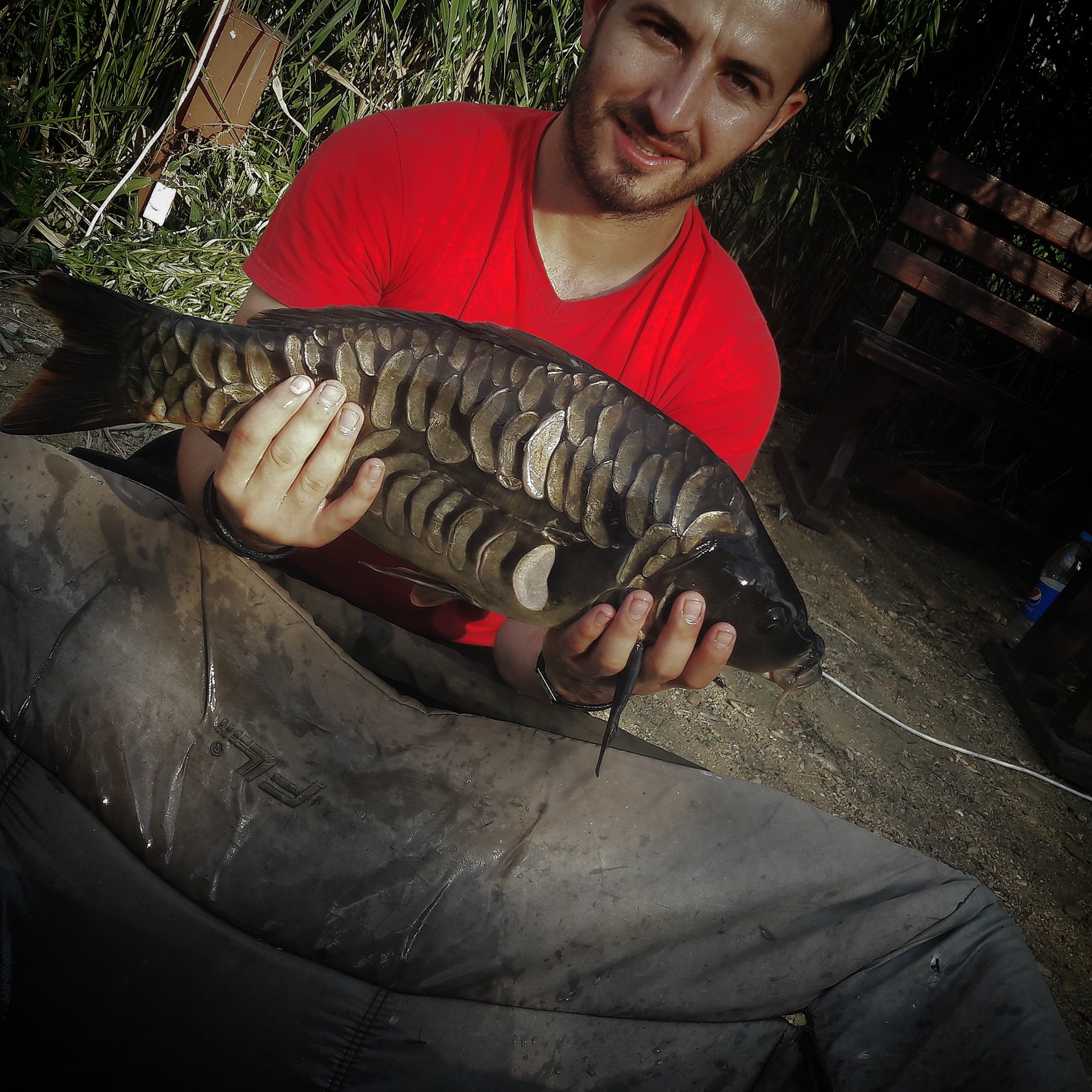 Balata LAZAR Alexandria  8 - 10 august 2020 - inbound1399841753.jpg